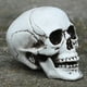 thumbnail image 2 of Accesorios de Calavera de Halloween JanHm Simulación de plástico Decoración 1 Pieza Blanco, 2 of 5