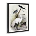 thumbnail image 2 of Stupell Industries Traditional Varied Crane Birds Gathered Riverbank Stream Botanicals Black Floating Frame Canvas Art, 25 x 31, by Piddix, 2 of 7