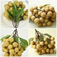 thumbnail image 3 of TABLETREANDS 2Ud Artificial Longan Decorativa Multicolor Para Hogar Y, 3 of 8