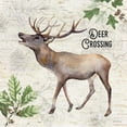 thumbnail image 2 of Lettered And Lined 12x12 Black Ornate Wood Framed with Double Matting Museum Art Print Titled - Deer Crossing, 2 of 4