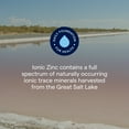 thumbnail image 5 of Trace Minerals Ionic Zinc - Ionic Zinc Supplement for Immune Support - Digestion, Growth & Skin Health Support - Chloride & ConcenTrace - Highly-Absorbable Drops - 2 fl oz (48 Servings), 5 of 6
