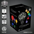 thumbnail image 5 of LEDimagine G80 Fairy Light Bulb, 50 Warm White LED Diodes Inside, Clear Glass Finish, E26 Base, 5 of 6