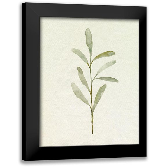 Caroline, Emma 12x14 Black Modern Framed Museum Art Print Titled - Olive Leaves III