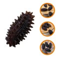 thumbnail image 2 of 4 Pcs Modèles Réalistes de Concombres de Mer Modèles de Nourriture de Simulation de Restaurant Faux Accessoires de Concombres de Mer, 2 of 7