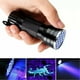 Lolmot UV Lampe de Poche Lumière Noire Lampe de Poche LED Détecteur de Taches d'Urine d'Animal de Compagnie – image 4 sur 9