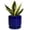 Blue, variant on Ordivic 5-inch White Ceramic Round Planter with Drainage Hole and Saucer for Succulents and Cactus
