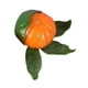 thumbnail image 5 of Juguete para apretar sensorial, juguete de naranjas peladas suaves, juguete para niños, juguete relajante de simulación, juguete novedoso para fiesta Verde, 5 of 9