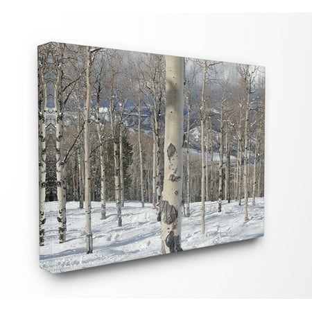 Photographic Canvas Art - The Stupell Home Decor Collection Winter Birches Photography Stretched Canvas Wall Art