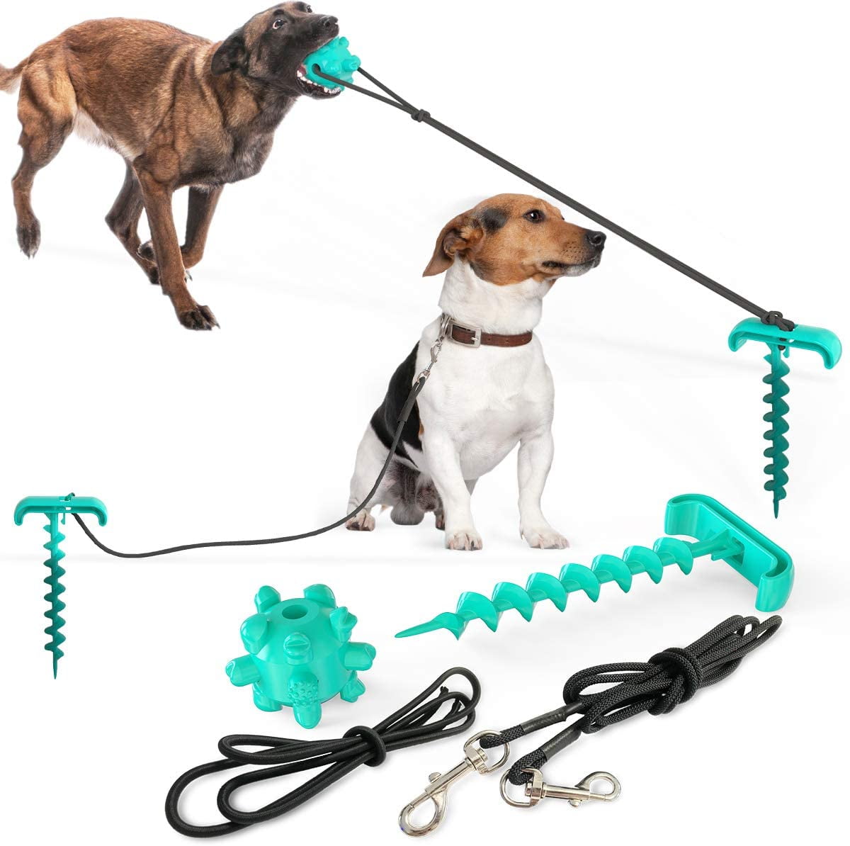 best backyard dog leash