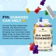 thumbnail image 3 of TrueSeaMoss Irish Sea Moss Gummies with Burdock Root & Bladderwrack – Multiflavor Vegan Seamoss Supplement for Women, Men & Kids – 120 Sea Moss Gummies, Made in the USA, 3 of 10