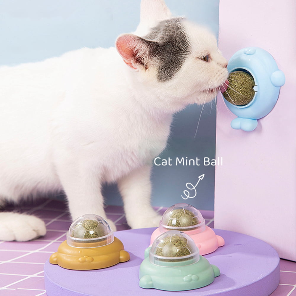 4PCS Catnip Toys Balls, Edible Kitten Toys for Cats Lick, Safe Healthy