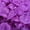 Purple, variant on Ludlz 1000pcs Fabric Rose Petals Wedding Flower Decoration Artificial Rose Flower Artificial Rose Flower Petals Confetti Wedding Decoration Stage Props