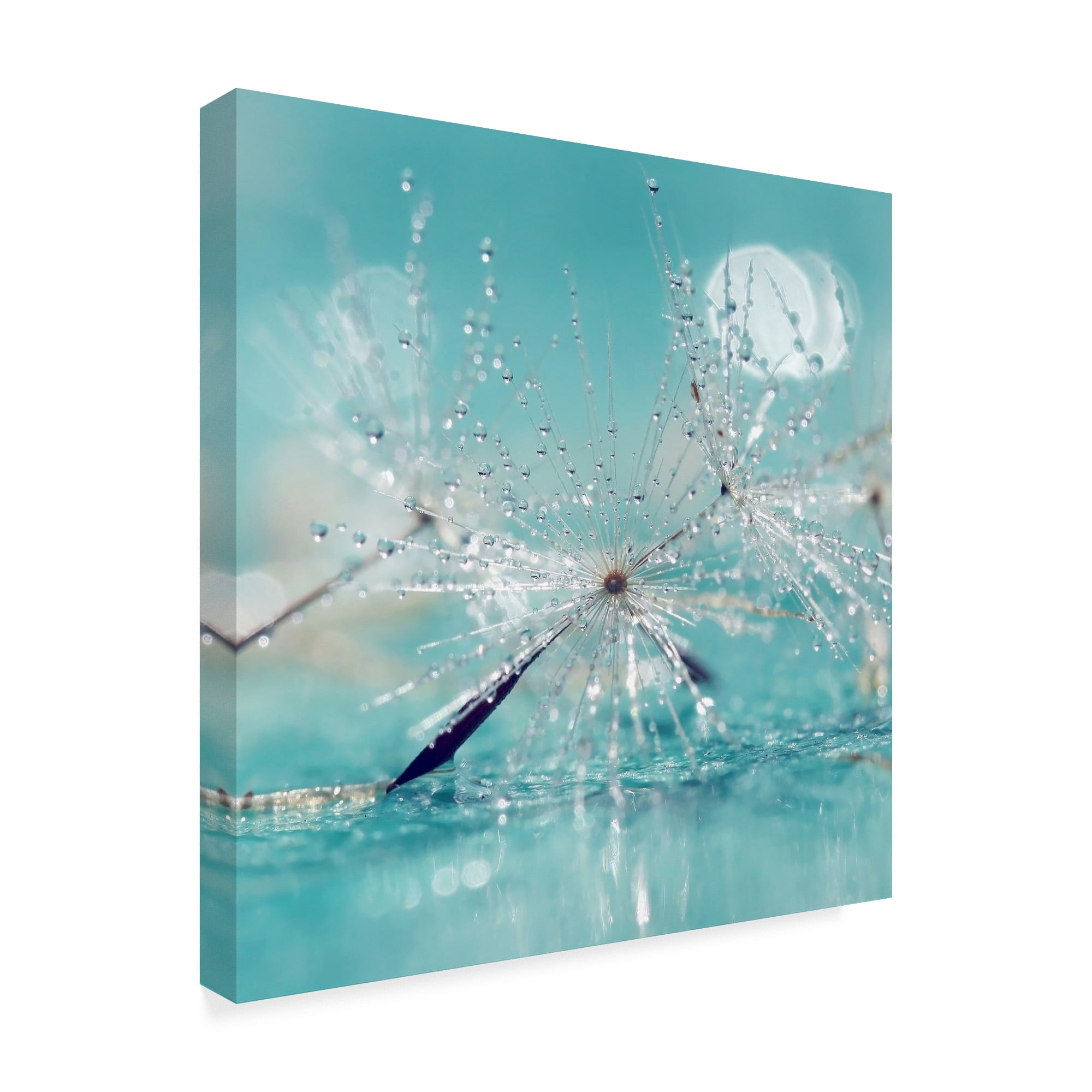 Trademark Fine Art 'Catching Dreams' Canvas Art by Incredi