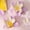 Purple PP, variant on Xecvkr Sealing Clips Double Layer Refrigerator Magnet Airtight Kitchen Bag Flower Shaped Clip Snack Food Seal Moisture Proof Fridge Organizer Decorative Food Storage Solution Pink