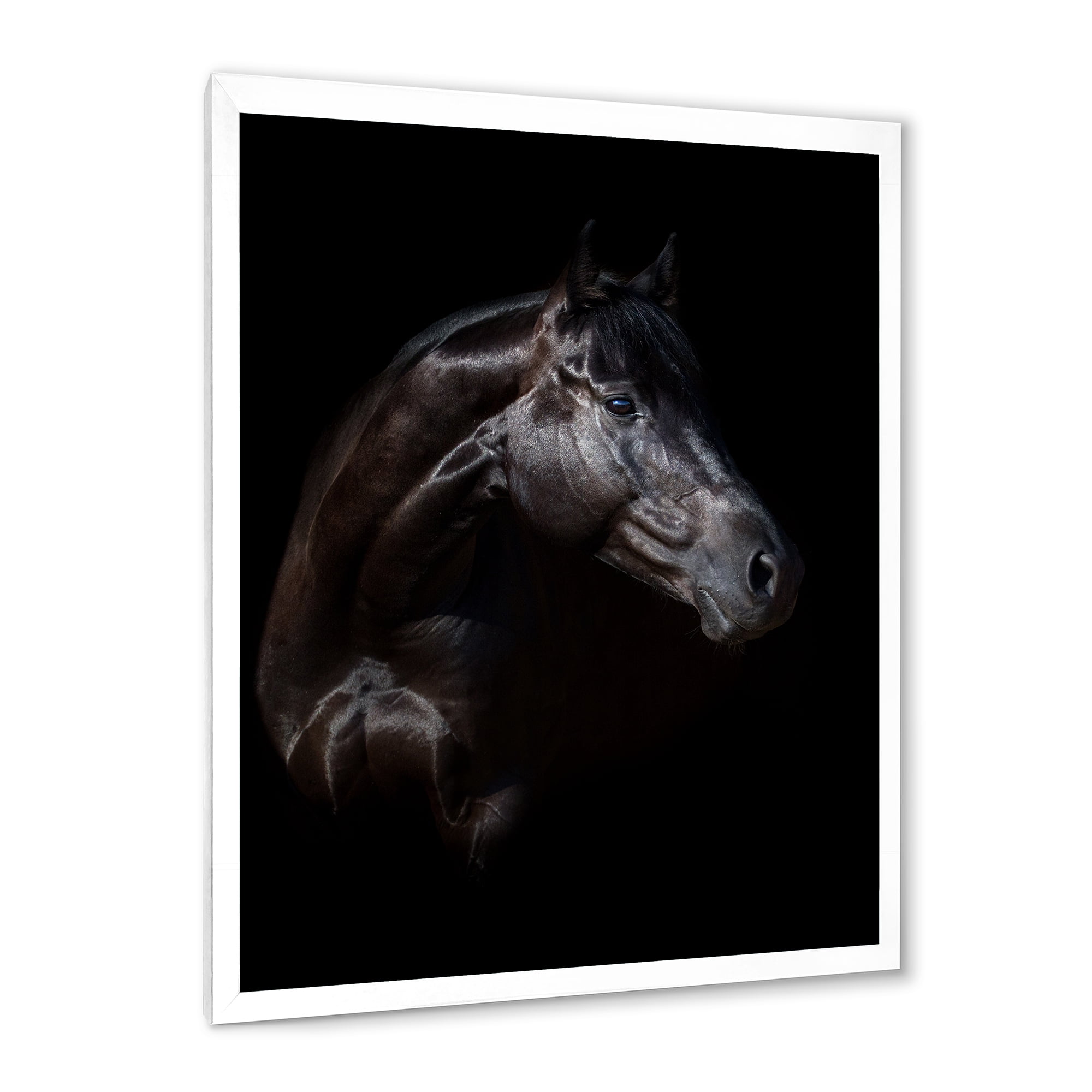 Designart 'Silhouette Of Horse and Woman' Farmhouse Framed Art Print