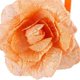 thumbnail image 3 of Respaldo de cortina Seersucker flor magnética cortinas decorativas cortinas tiebacks naranja naranja Magideal Respaldo de cortina, 3 of 5