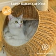 thumbnail image 3 of Pefilos Modern 46" Dinosaur Cat Tree Tower with Scratching Post, Rattan Cats House in 18" Diameter, Wicker Cats Bed with Removable Mat, Beige, 3 of 5