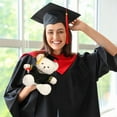 thumbnail image 6 of 14 Inch Doctor Graduation Bear Plush - Blue Doctorate Degree Stuffed Animal, Academic Achievement Gift for Graduates & Students Gray, 6 of 8