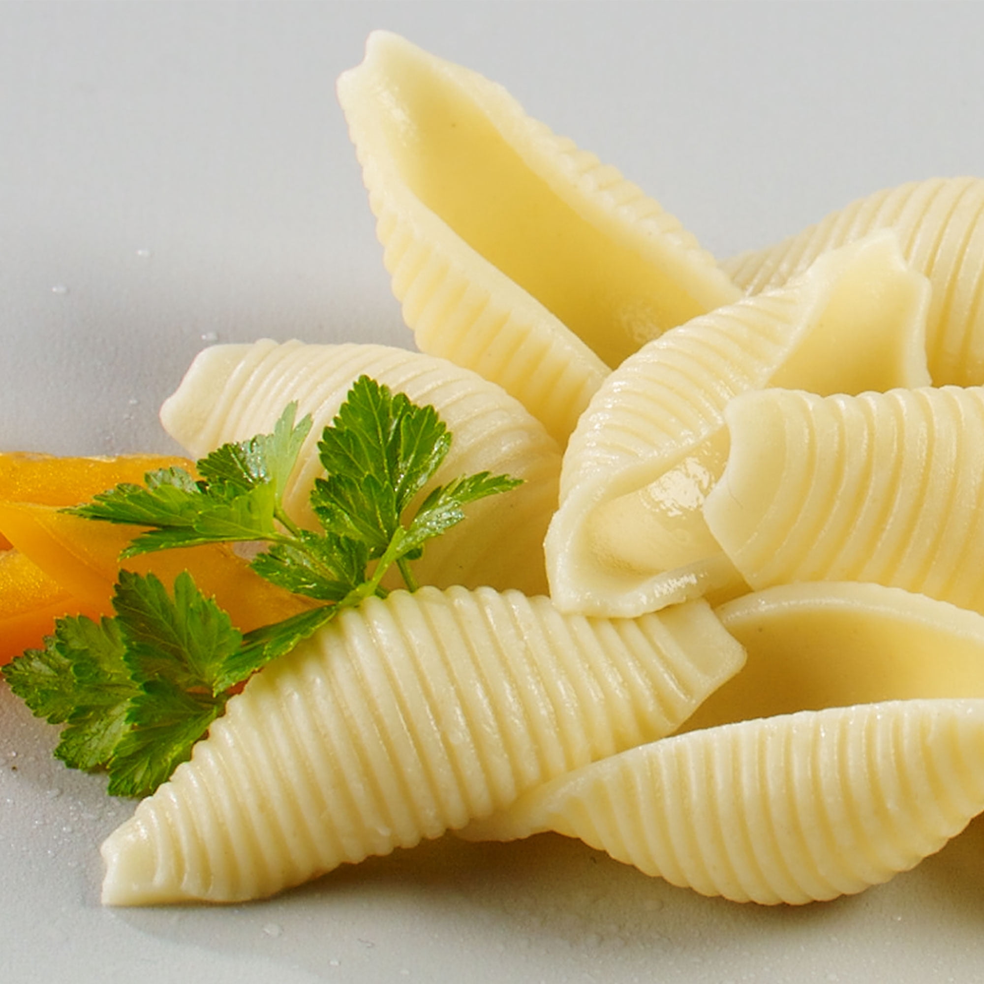 American Beauty 16 oz Large Shell Pasta