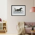 thumbnail image 3 of Historic Framed Print, The Black Gelding Frank, by Pathfinder 2nd: Driven by A.J. Feek of Syracuse. Record, 2:20, 17-7/8" x 21-7/8", 3 of 9