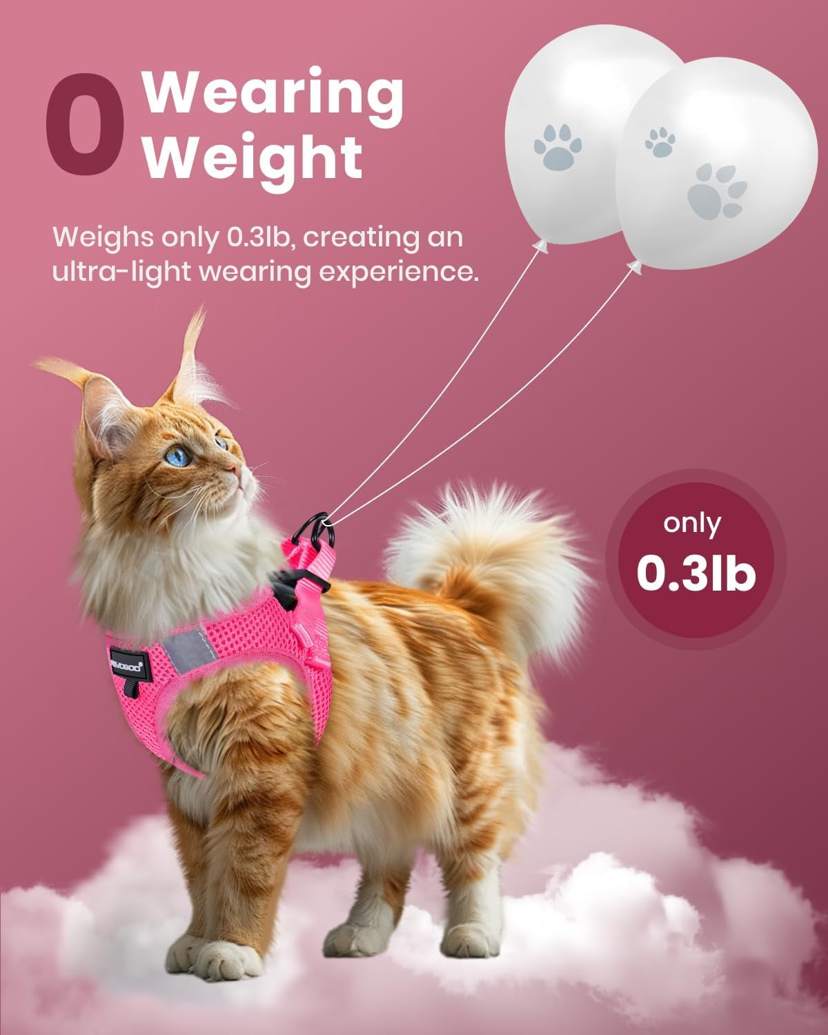 FAYOGOO Escape Proof Cat Harness and Leash Set for Walking, Secure-Fit Step-in Cat Vest Harness, Soft & Lightweight for Kittens and Large Cats