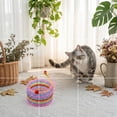 thumbnail image 5 of Flexible Cat Spring Toy, Colorful Interactive Coil Toy for Indoor Cats, BPA-Free Plastic Spiral Springs for Kitty to Swat and Hunt 1PC, 5 of 5