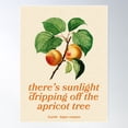 thumbnail image 2 of Vintage Apricot Poster Poster Wall Art, Modern Wall Decor For Living Room Bedroom, 8x12 UNFRAMED, 2 of 3