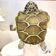 thumbnail image 5 of Product classification Pillow Decorated Pillow Toy with Wearable Turtle Doll for Kids and Girlfriend – 2362 Inches, 5 of 5