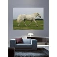 thumbnail image 2 of Wallhogs Horse III Glossy Wall Mural, 2 of 2