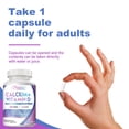 thumbnail image 4 of Calcium + Vitamin D - Strengthens Bones, Supports Bone, Muscle and Joint Health, and Promotes Calcium Absorption - 120 Capsules, 4 of 6