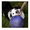 thumbnail image 6 of Floating Interactive Rope Dog Horse Toys Romp and Roll Dog Water Tug (Medium - Blue), 6 of 9