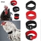 thumbnail image 1 of 2X Cockerel Rooster Quiet No Crow Anti Noise Band Collar Neck Poultry Y5P, 1 of 5