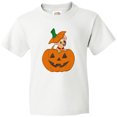 thumbnail image 3 of Inktastic Halloween Chihuahua Pumpkin Youth T-Shirt, 3 of 5