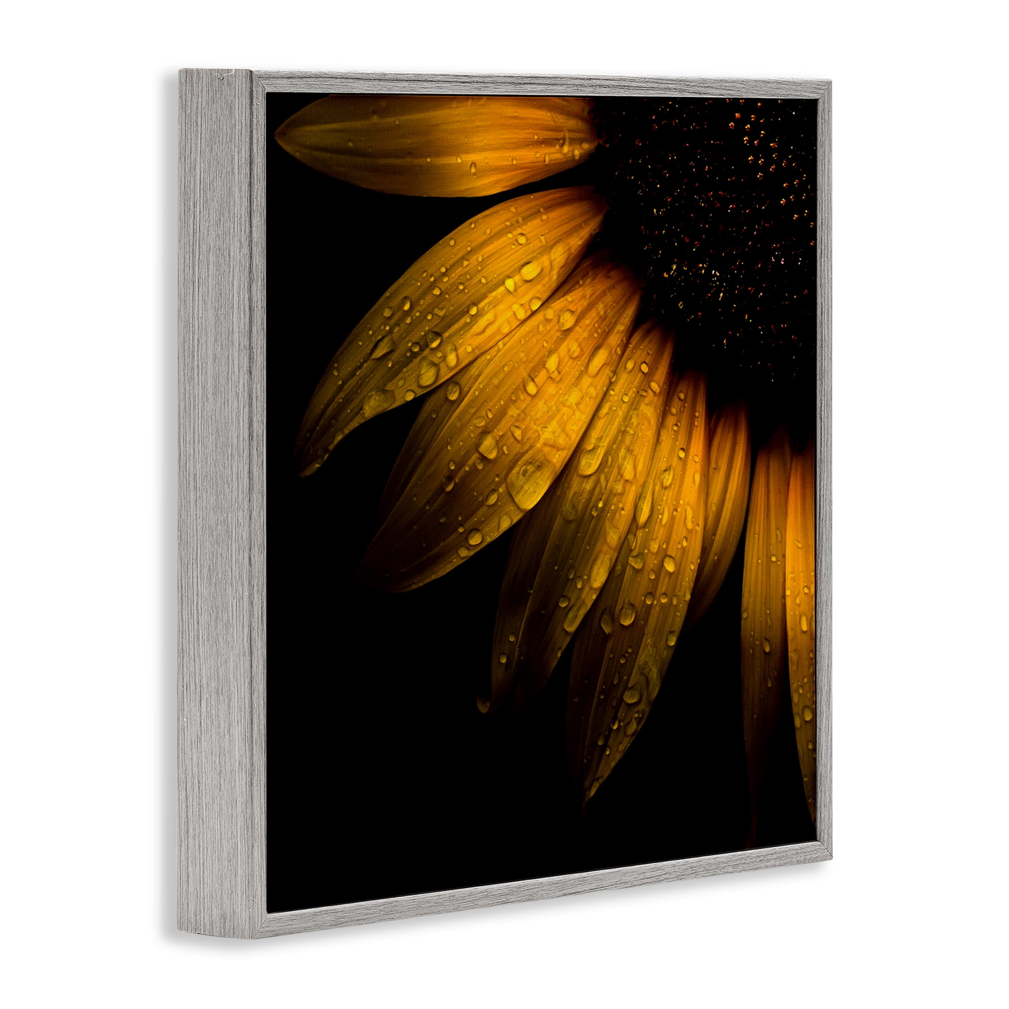 Sunflower Detail with Droplets Gray Framed Giclee Art, design by Brian Carson Photography