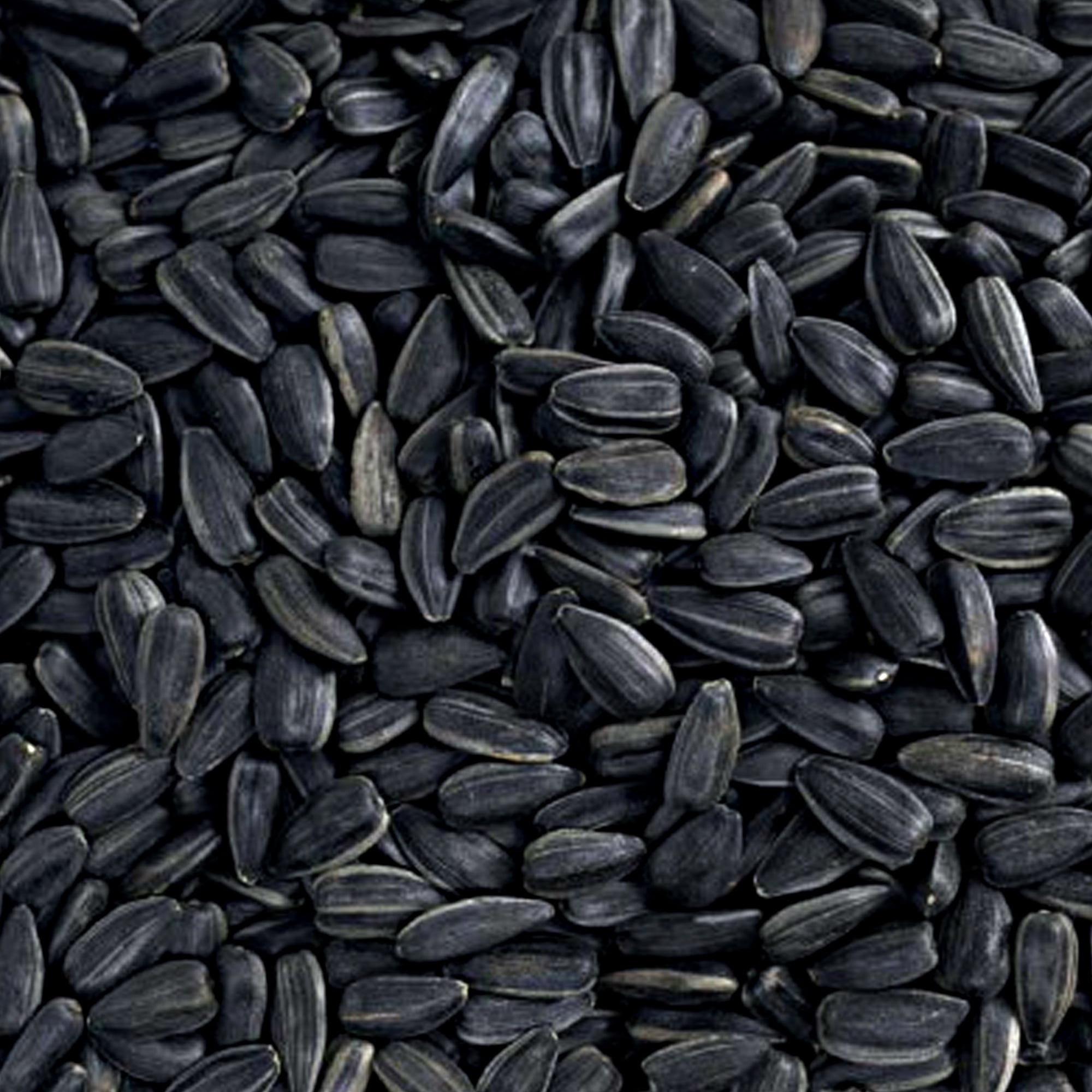 Happy Wings Sunflower Seeds 14 lb No Grow Birdseed, Wild Bird Food. Dry, New