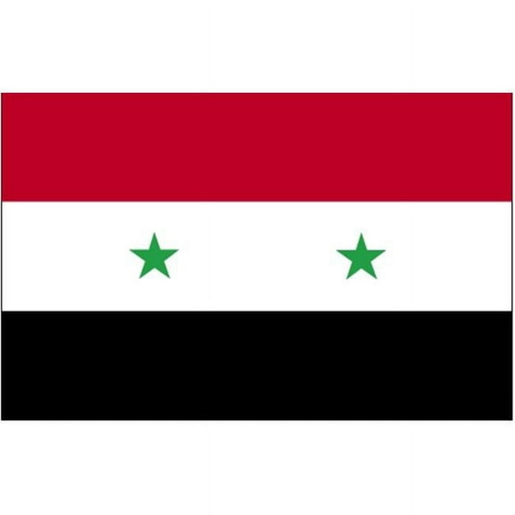 5 ft. X 8 ft. Nyl-Glo Syria Flag
