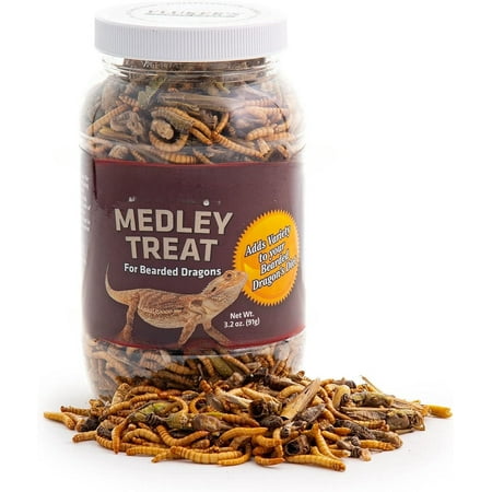 Medley Treat for Bearded Dragons, Grasshoppers, Mealworms and Crickets,