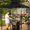 Black, variant on TANGJEAMER Outdoor Grill Gazebo Tent Barbeque Grill Canopy for Outdoor Patio Backyard Grill Shelter Hardtop (L93 x W62 x H98 Inch) Black