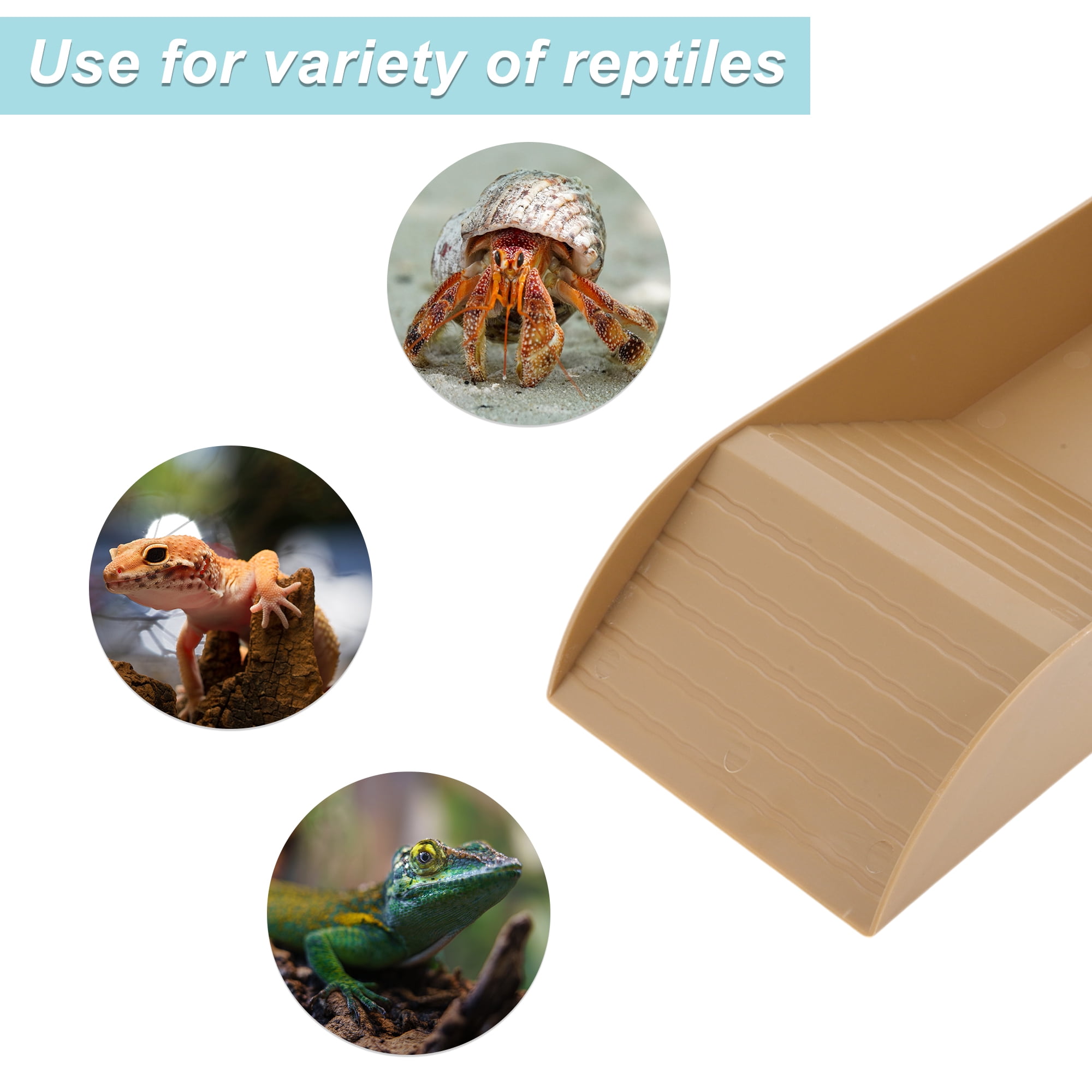 Unique Bargains Tortoise Food Dish with Ramp Plastic Reptile Water Bowl Reptile Climbing Ramp for Turtles Lizards Brown Large