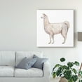 thumbnail image 3 of Trademark Fine Art 'Bohemian Cactus Llama' Canvas Art by Mary Urban, 3 of 4