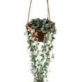 thumbnail image 4 of Grandest Birch Flower Basket Reusable Heighten Plastic Hanging Planter Decor Pot for Outdoor Flower Pot:Plastic, 4 of 8