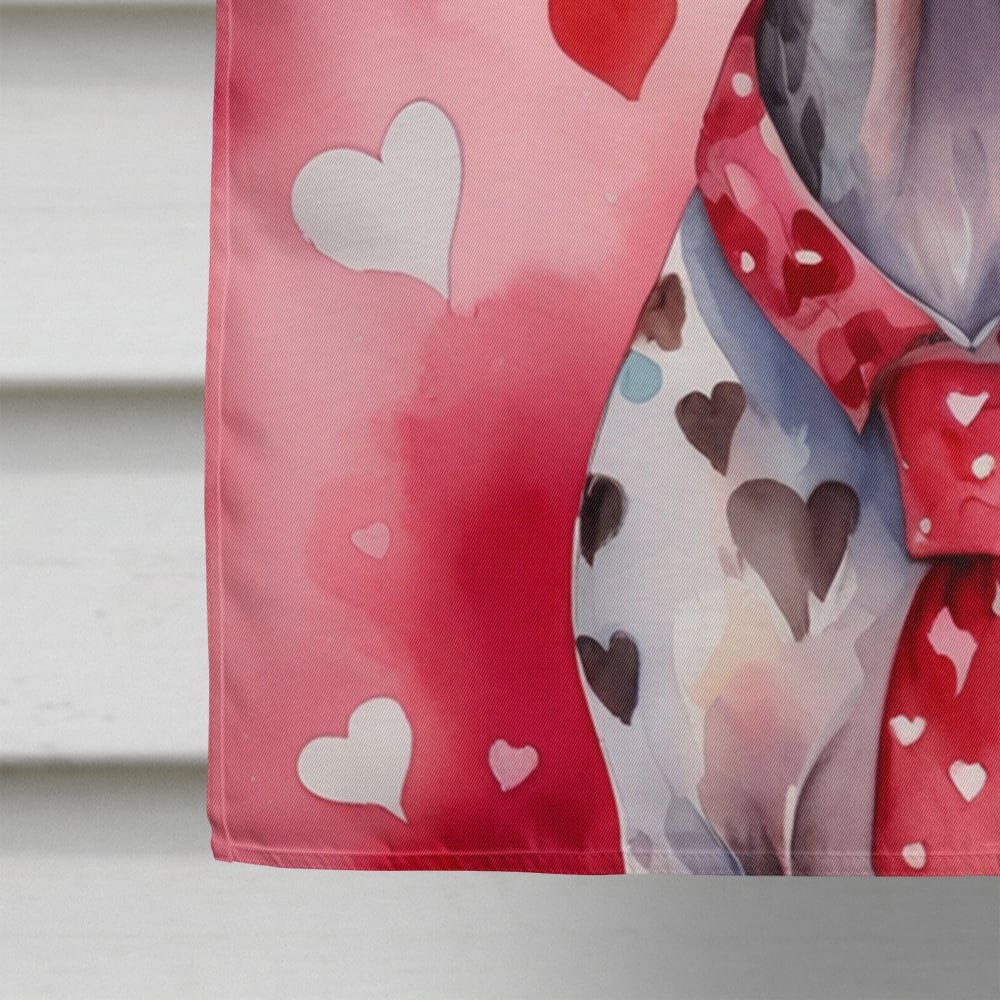 German Shorthaired Pointer My Valentine House Flag 28 in x 40 in