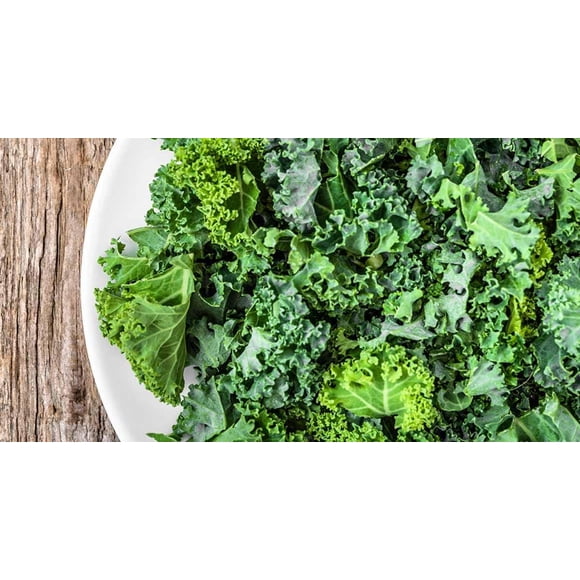 HJADGG Chou Frisé Bleu Nain *60-70 Graines* Héritage et Graines Biologiques-Graine