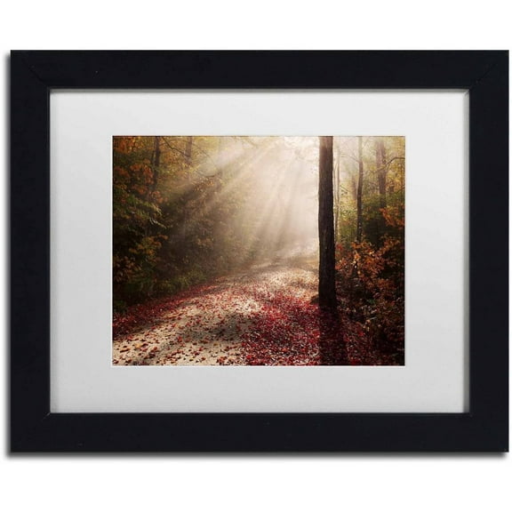 Trademark Fine Art 'Light in the Forest' Canvas Art by Michael Blanchette Photography, White Matte, Black Frame
