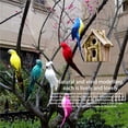 thumbnail image 5 of Moyic Simulación hecha a mano loro jardín decoración pluma césped espuma estatuilla ornamento Animal pájaro cerca pájaro Prop Decoración Decoración del hogar No. 4 Moyic HA024215-04, 5 of 5