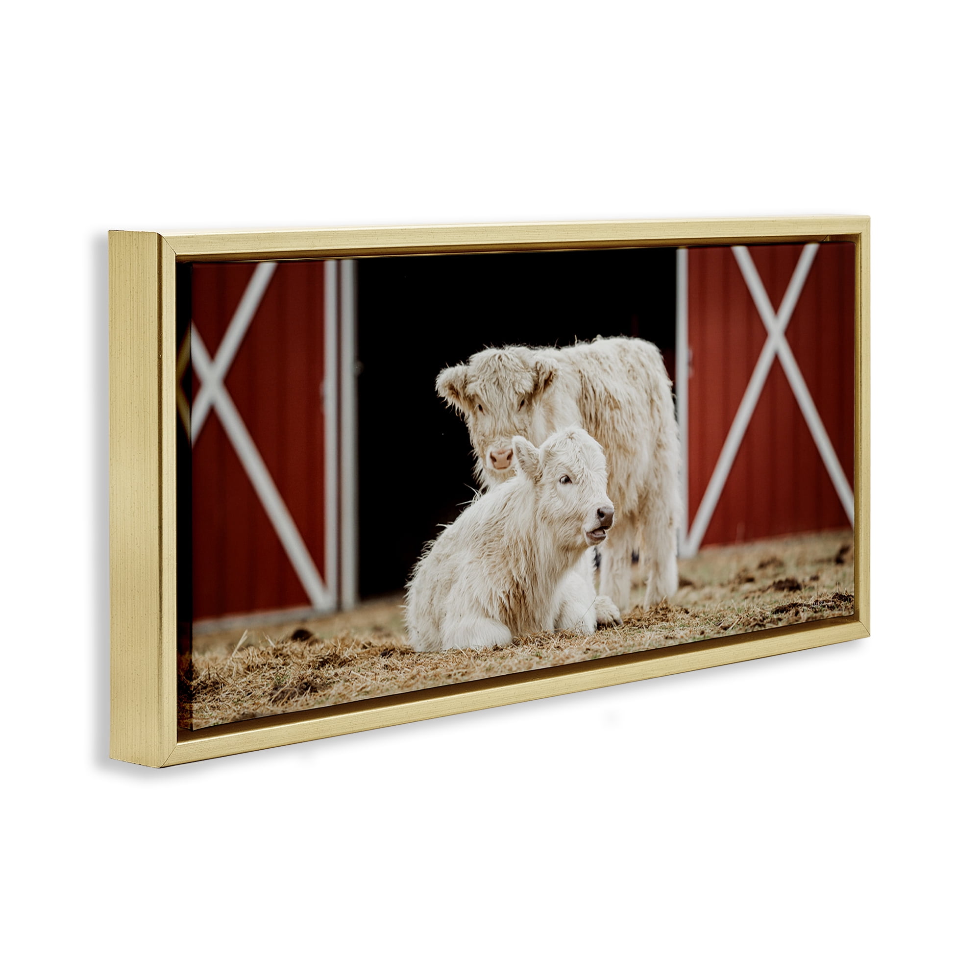 Stupell Industries White Cattle Barn Animals & Insects Photography Gold Floater Framed Canvas Art Print Wall Art, 25 x 11