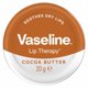 thumbnail image 2 of Vaseline Lip Therapy Manteca de Cacao 20 g, 2 of 8