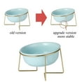thumbnail image 6 of Anti Vomiting Easy Cleaning Neck Protect with Bracket Ceramic Material Slope Design Cat Feeding Bowl Dog Drinking Dish Pet Accessories Cat Bowl BLUE S WITH BRACKET, 6 of 8