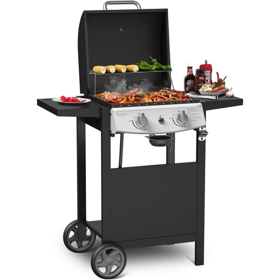 FREE VILLAGE 2-Burner Propane Gas BBQ Grill,20000 BTU Stainless Steel Barbeque Grill with Side Shelves and Wheels,Portable Outdoor Grill for Patio,Backyard,Garden,Camping Cooking