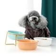 thumbnail image 6 of Anti Vomiting Easy Cleaning Neck Protect with Bracket Ceramic Material Slope Design Cat Feeding Bowl Dog Drinking Dish Pet Accessories Cat Bowl ORANGE L WITH BRACKET, 6 of 8
